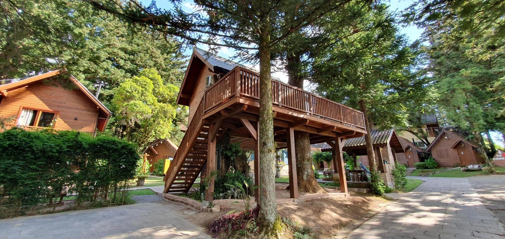 Inn Arvore Da Coruja Gramado